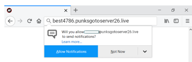 Punksgotoserver virus